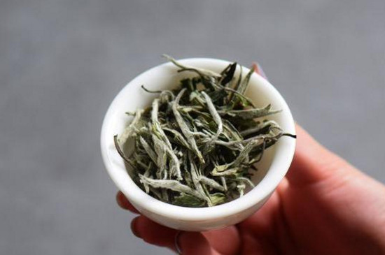 福鼎白茶煮好还是泡好