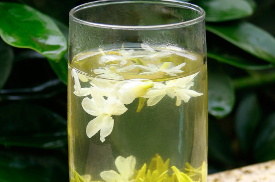 茉莉茶叶属于什么茶