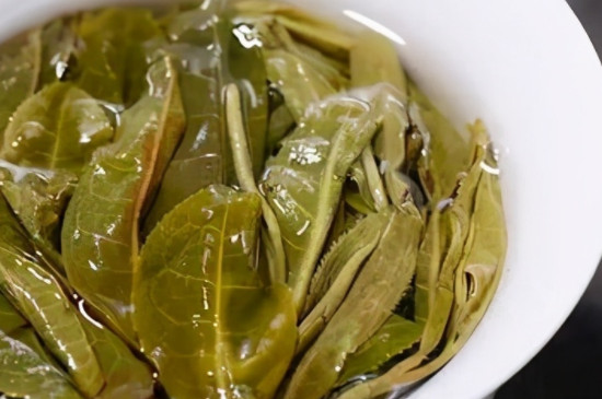 懂过古树茶口感特点