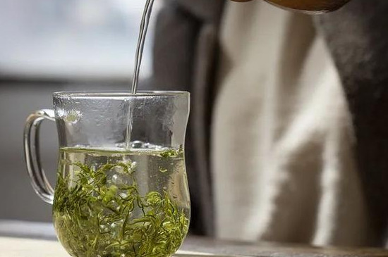 茶毫多怎麼泡
