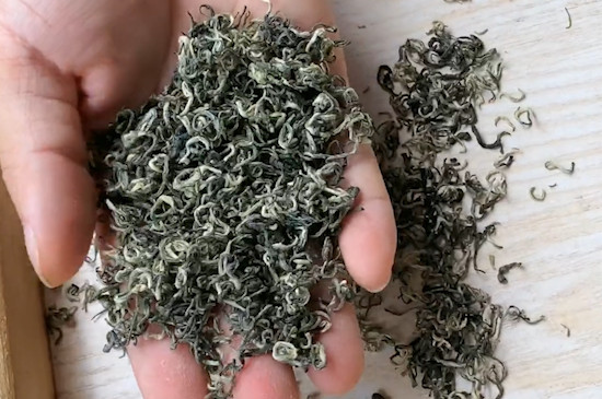 碧螺春是哪裡的茶葉