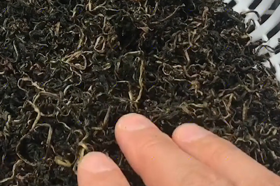蒲公英怎樣泡水