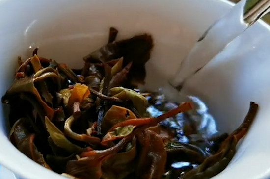 大雪山普洱茶是什么茶