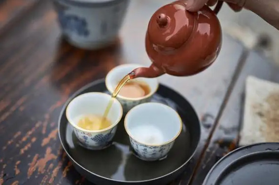 鐵觀音適合用什麼壺泡