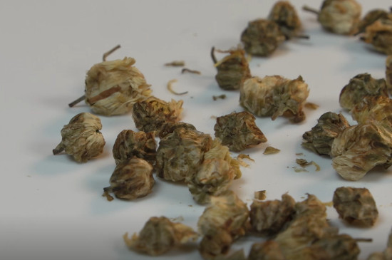 菊花茶屬於什麼茶類