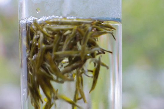 黃茶是什麼茶