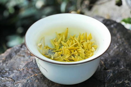 蒙頂黃芽的品質特徵 蒙頂黃芽葉底特點