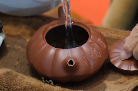白茶怎麼沖泡