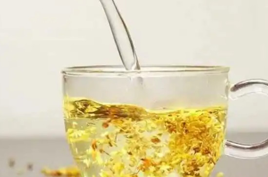 桂花茶怎么泡好喝