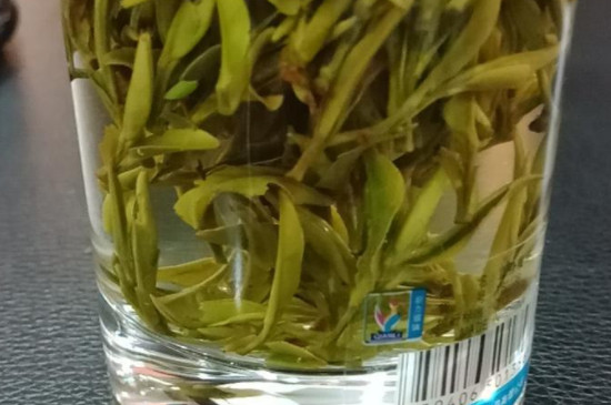黃山毛尖屬於什麼茶類