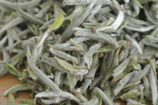 白毫银针的冲泡和禁忌