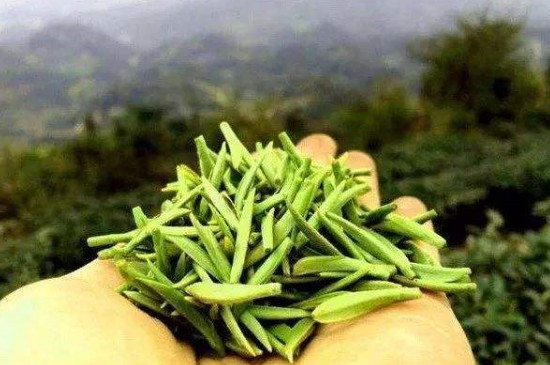 蒙顶山的茶好还是峨眉山的好，蒙顶山茶和峨眉山茶的区别