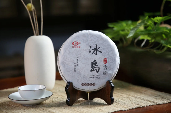 冰岛普洱茶的口感特点