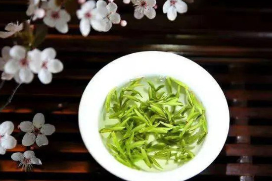 安吉白茶600元一斤什么档次，中等档次