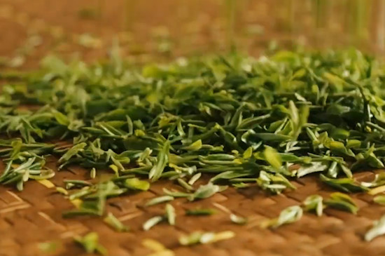 雨花茶怎么挑选