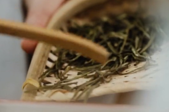 易武茶区最出名的有哪些山头