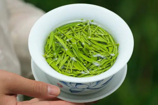 信陽毛尖禁忌人群