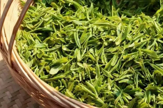 白馬毛尖是什麼茶