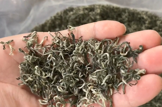 什麼是碧螺春