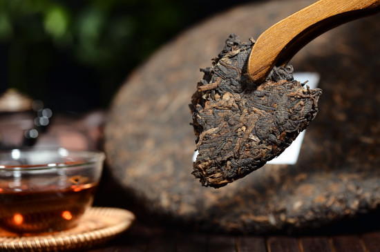 黑茶为什么要压成砖，方便运输/利于黑茶金花的生长