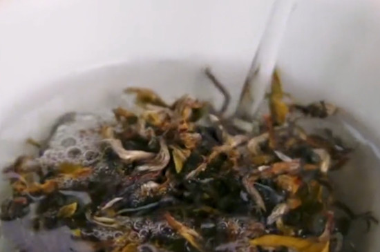 黃茶的泡法