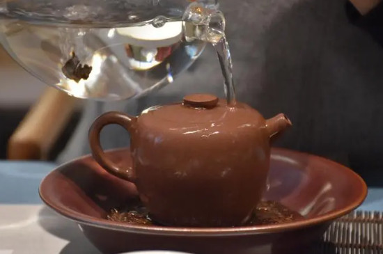 西施壺適合泡什麼茶