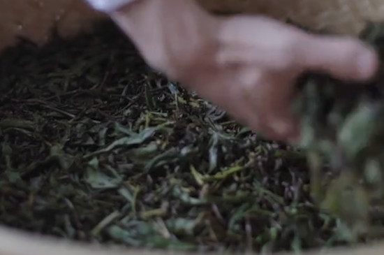 普洱茶与大红袍区别