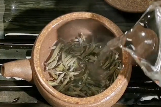 白茶如何冲泡最好