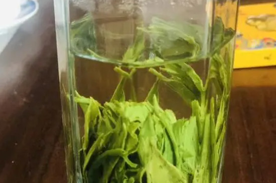 黄山毛峰属于绿茶吗