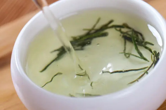 信陽毛尖茶的泡法