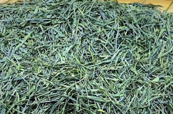 恩施玉露茶是綠茶還是紅茶