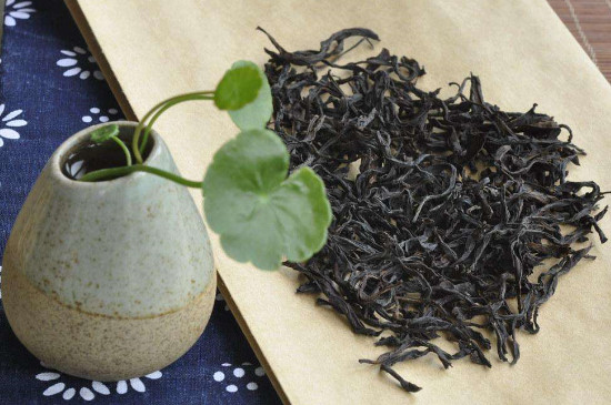 鴨屎香是什麼茶是紅茶嗎