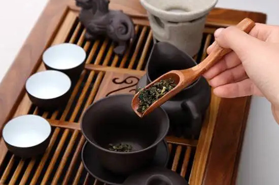 奇兰茶的冲泡方法