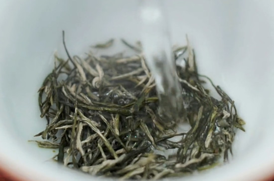 毛尖茶泡法