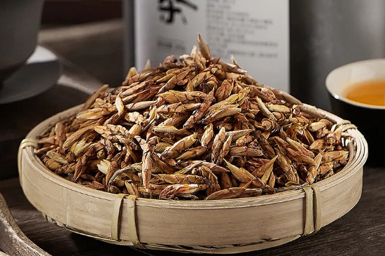 老鷹茶是什麼茶