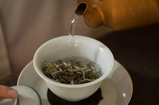 福鼎白茶的正确喝法