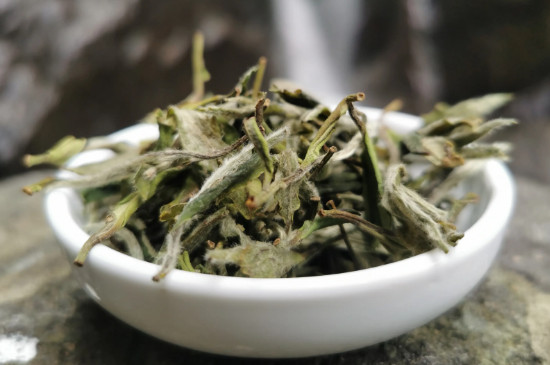 福鼎太姥山白茶的由來 太姥山福鼎白茶的原由