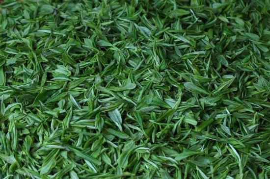 信陽毛尖什麼茶