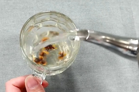 胎菊枸杞茶能天天喝嗎