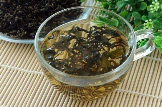 蒲公英茶哪些人不宜喝，蒲公英哪四種人不能喝