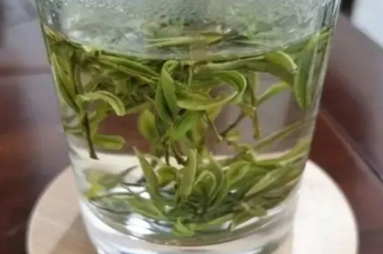霍山黃芽是什麼茶