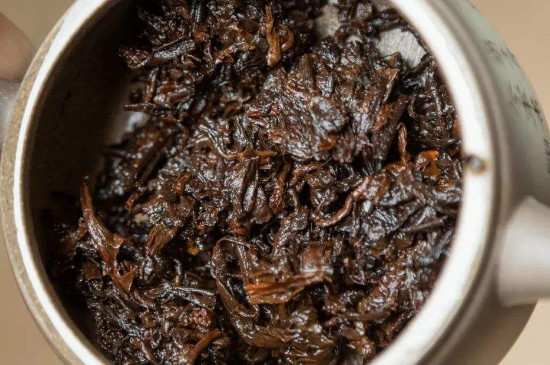 生茶和熟普的哪个好