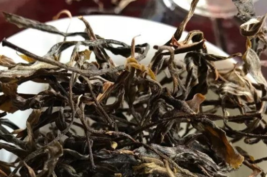 刮风寨古树茶地址与特点