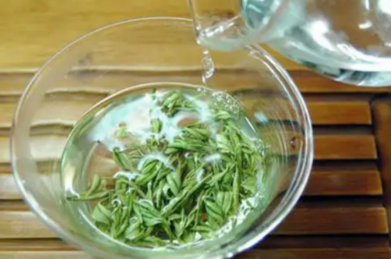 安吉白茶怎么泡好喝