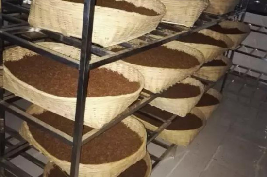如何掌握好红茶的发酵程度，发酵一般经过温度/湿度等