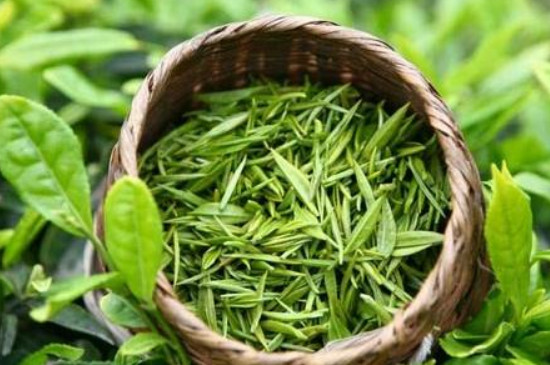 西湖龍井是綠茶嗎