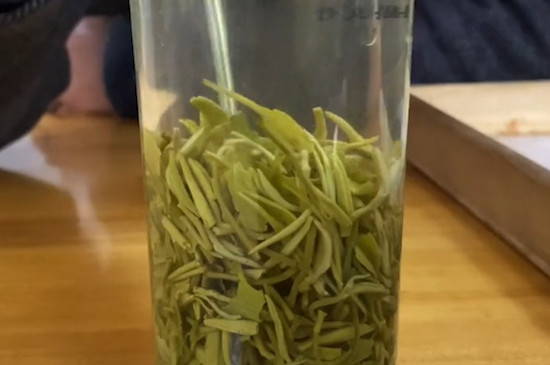 採用茶果間作種植方式的茶