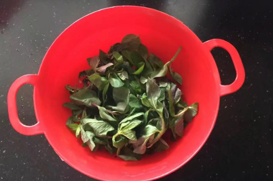 薄荷葉怎麼泡水
