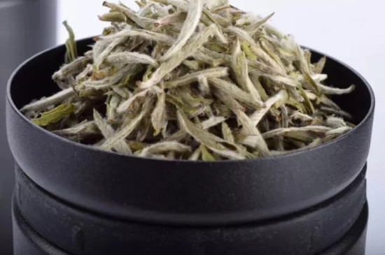 野生雪芽是什麼茶