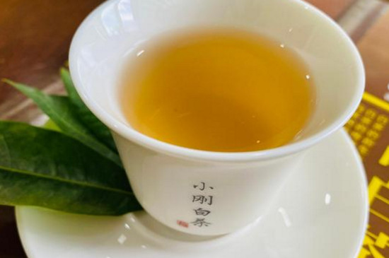 福鼎白茶排名前十名，福鼎白茶十大高端品牌排